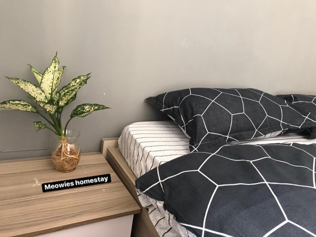 Meowies Homestay Thành Pho Ho Chí Minh Esterno foto
