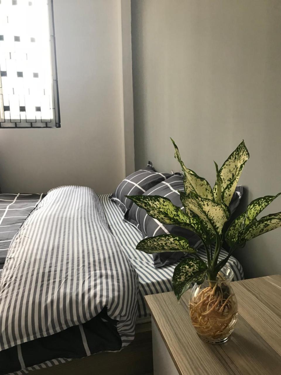Meowies Homestay Thành Pho Ho Chí Minh Esterno foto