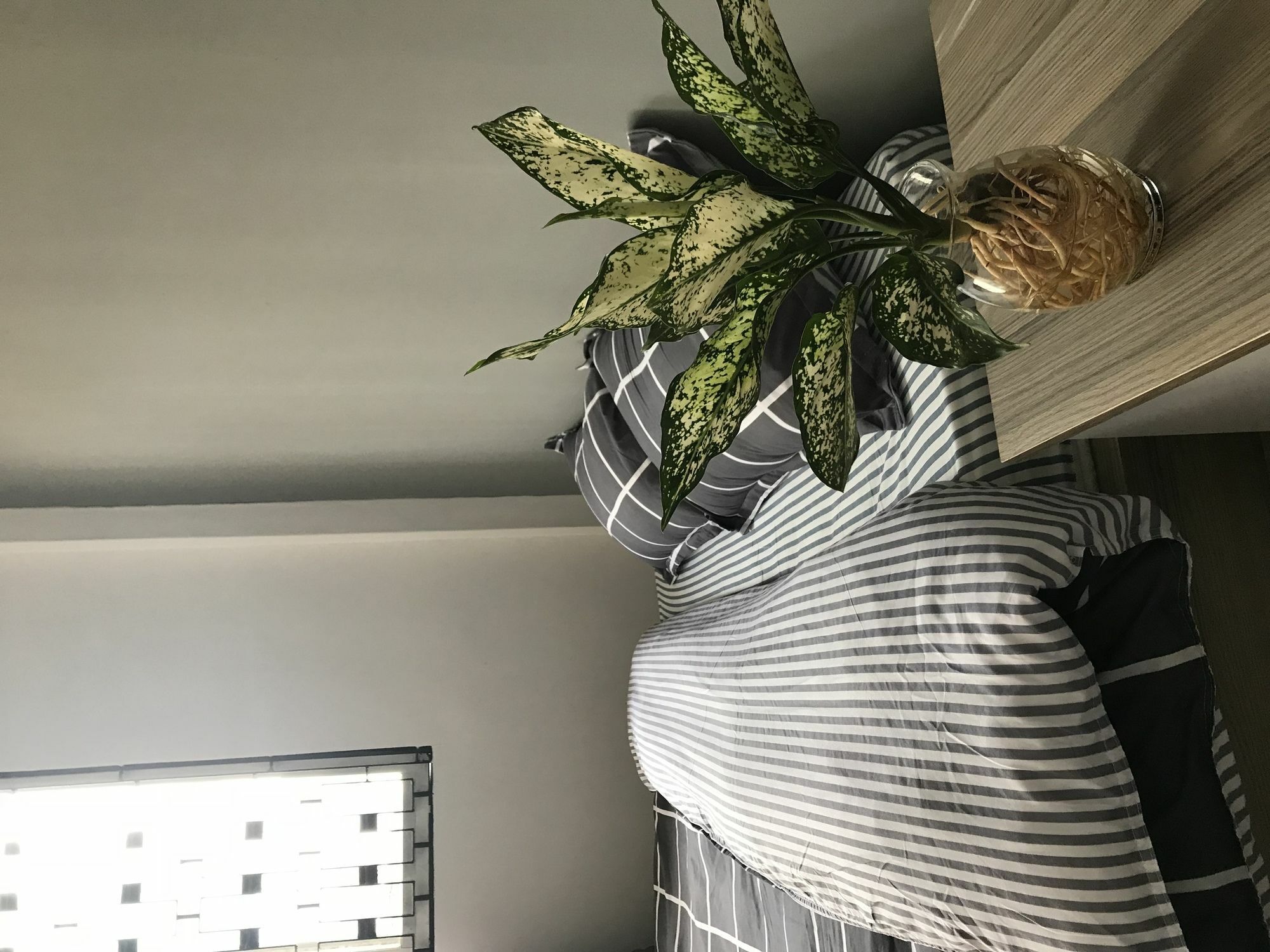 Meowies Homestay Thành Pho Ho Chí Minh Esterno foto